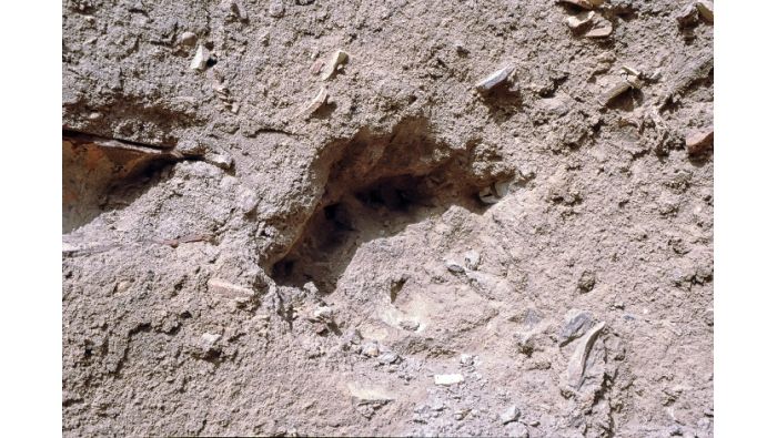 Ur: Mit Bajonetten gegrabene Löcher in der Nähe der Königsgräber.